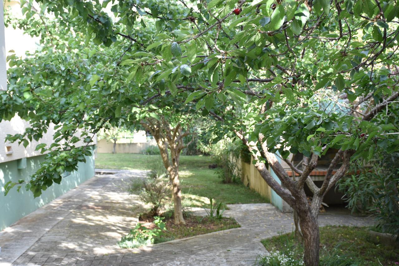 Apartments Antonija Punta Skala Next To Falkensteiner Resort بيتريتْشاني المظهر الخارجي الصورة