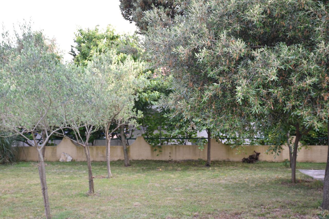 Apartments Antonija Punta Skala Next To Falkensteiner Resort بيتريتْشاني المظهر الخارجي الصورة